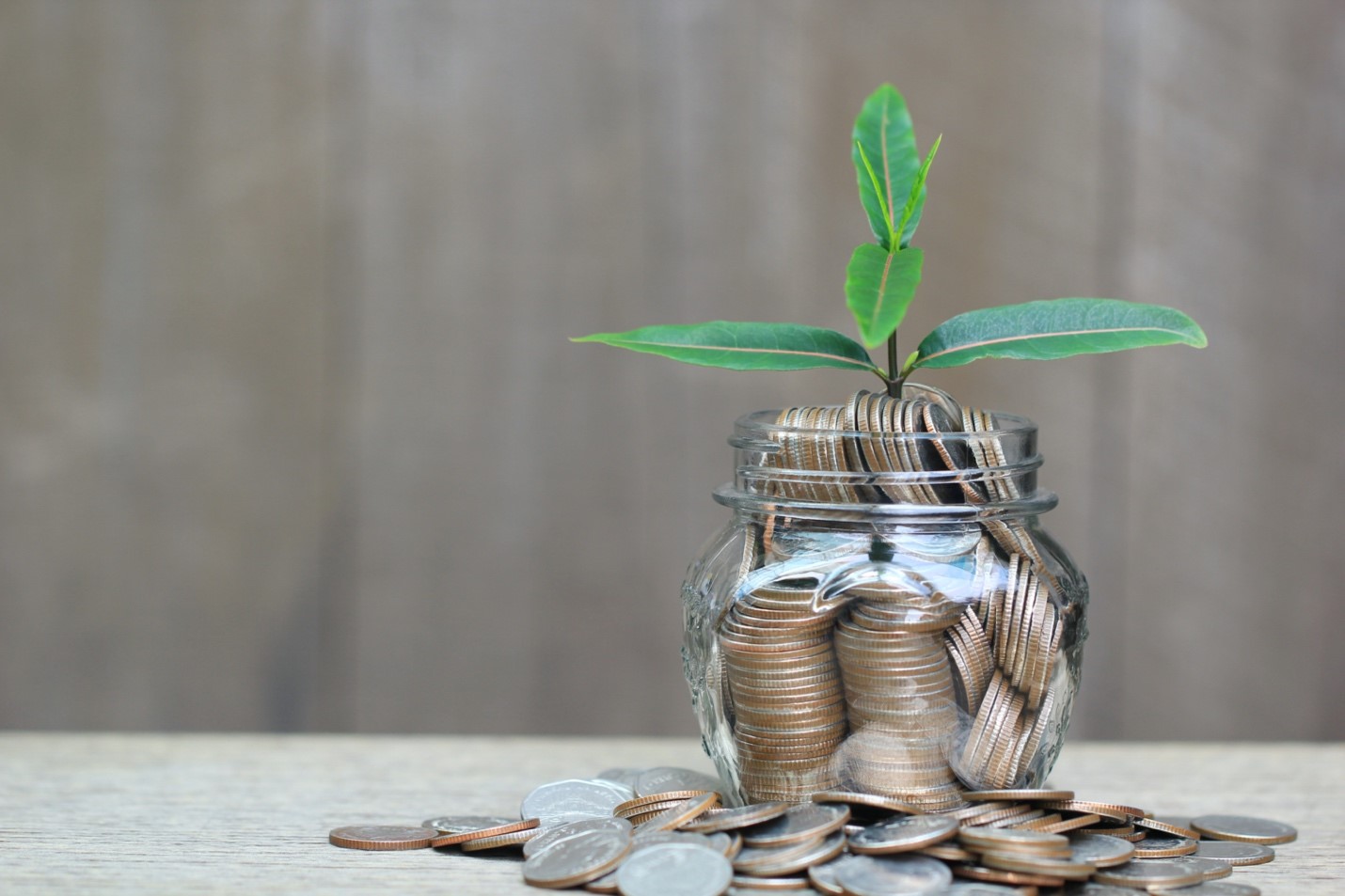 How Top Private Equity Firms Build High-Performing Businesses
