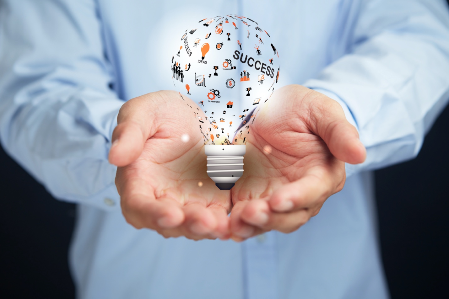 Innovation in Business Models: Adapting for the Future